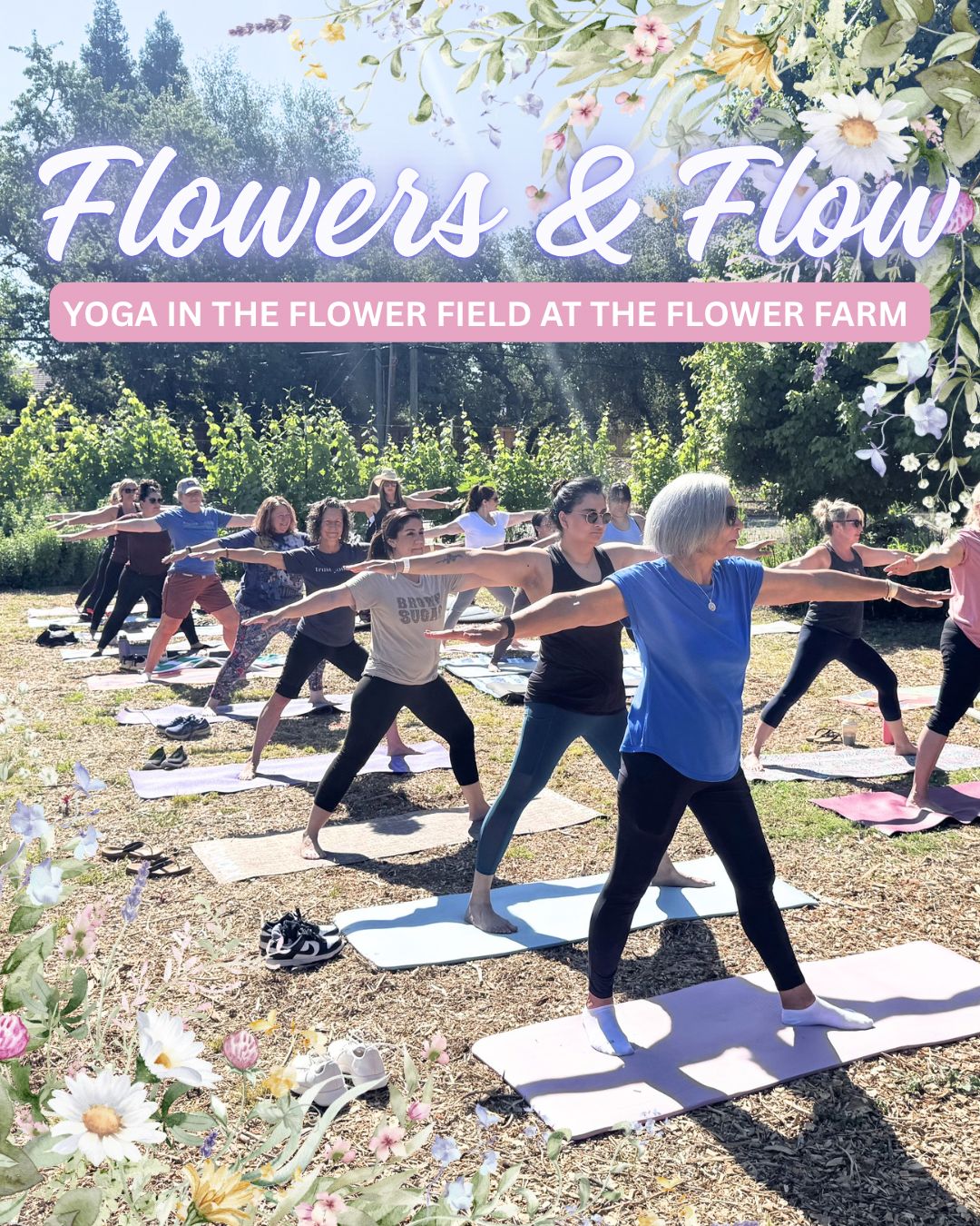 Flowers &amp; Flow Yoga in The Pumpkin Patch at The Flower Farm 10/10 9:00am