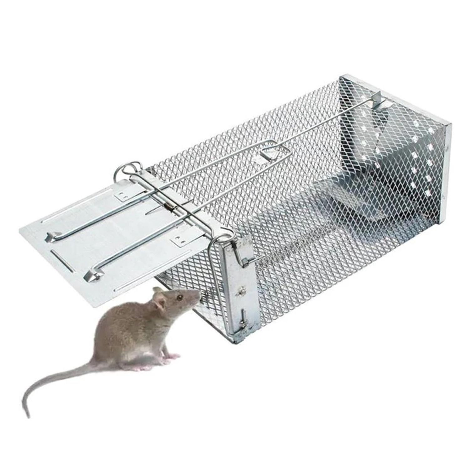 Rat Killer Small