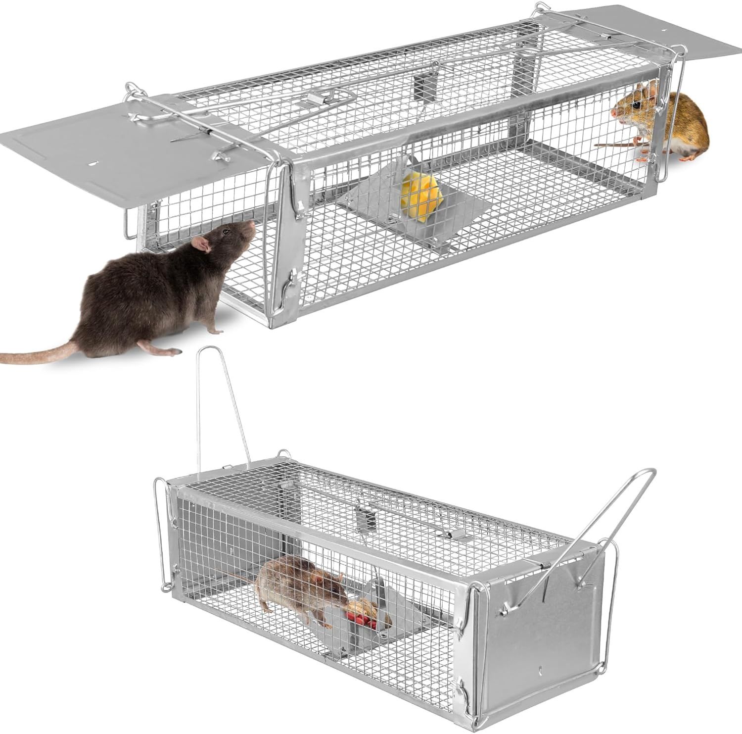 Dual Door Live Rat Traps