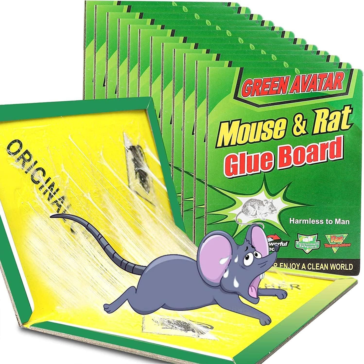 Mouse &amp; Rat Glue Board