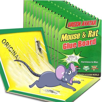 Mouse &amp; Rat Glue Board