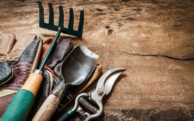 🪴Garden &amp; Outdoor Tools