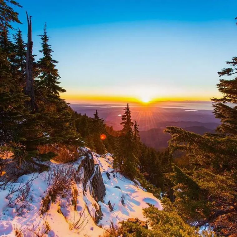 Sunset in the Snowy Forest Jigsaw Puzzle 1000 pieces
