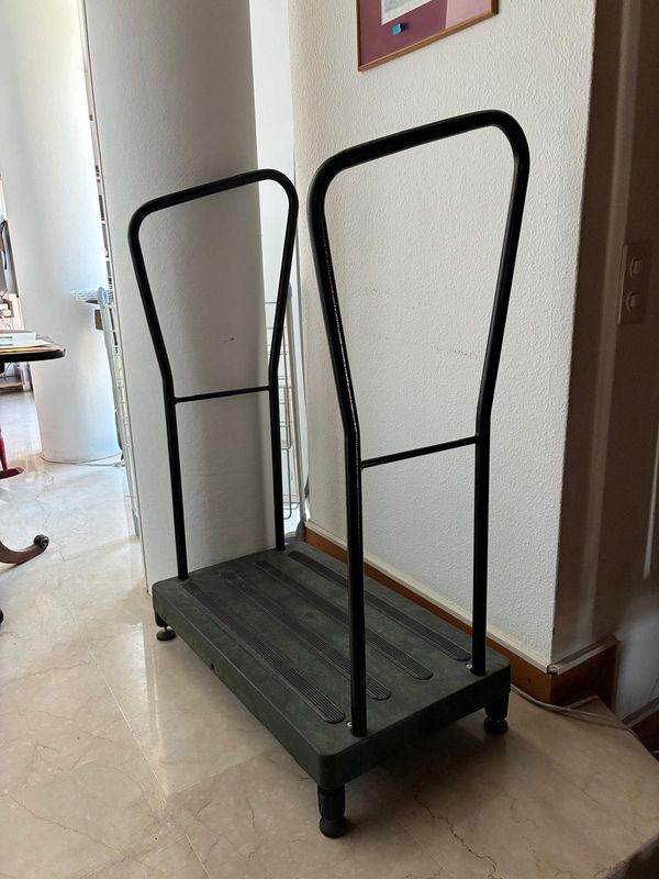 Marche d'escalier avec deux poignées