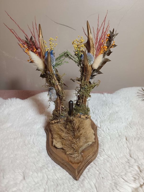 &quot;Gardien des Bois Sacrés&quot;