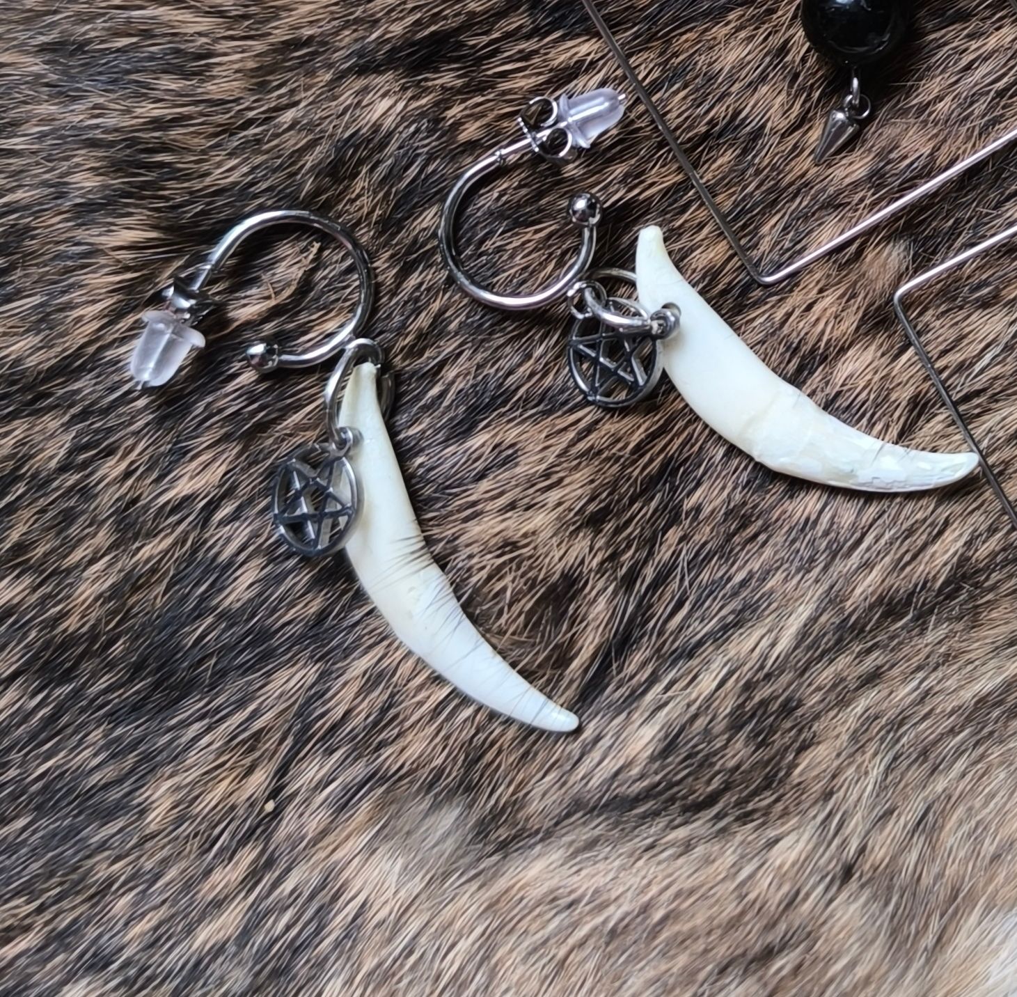 Boucles “Lune Sauvage” – Croc Naturel &amp; Pentacle