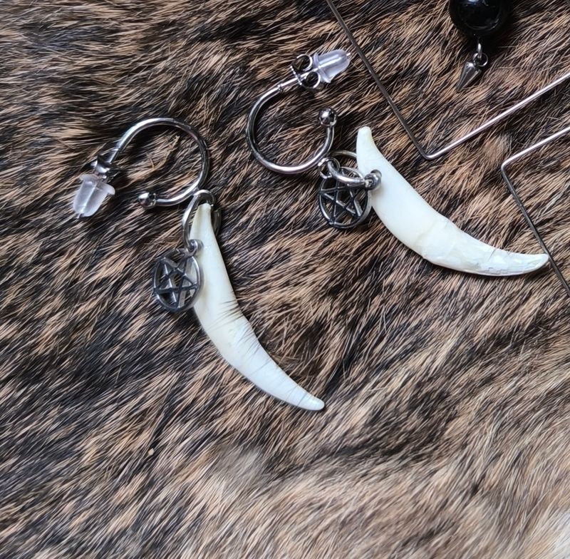 Boucles “Lune Sauvage” – Croc Naturel &amp; Pentacle