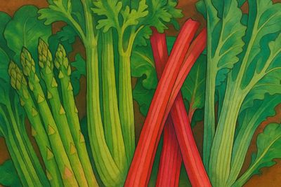 Stängel- &amp; Sprossgemüse