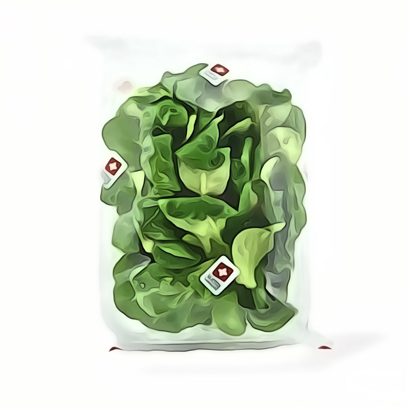 Nüssler Beutel 100g  CH KNO