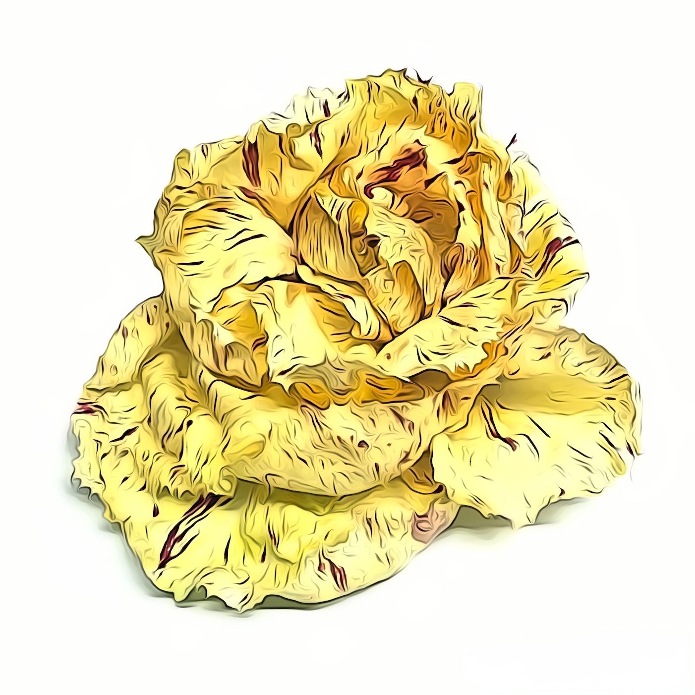 Castelfranco  CH DEM