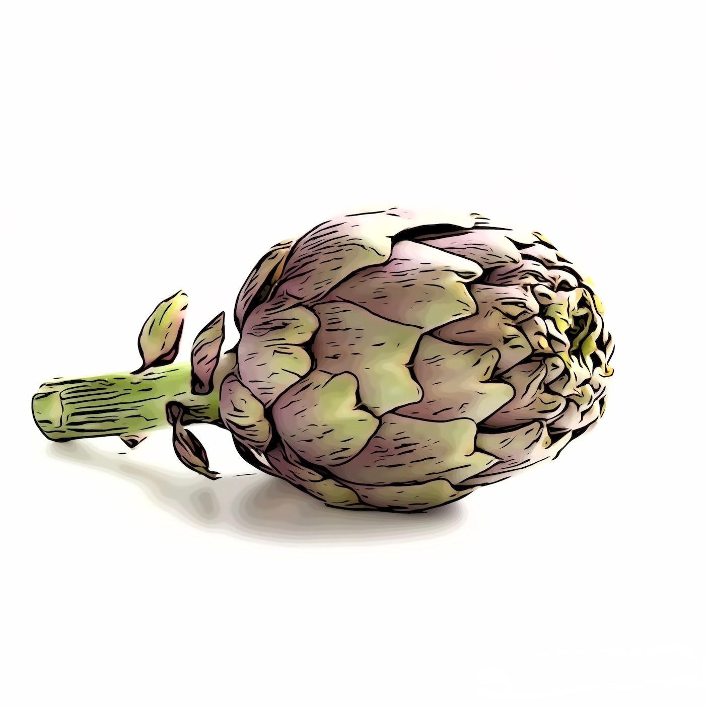 Artischocken Violett  IT Bio