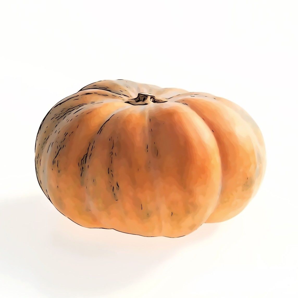 Kürbis Muscade de Provence  CH KNO