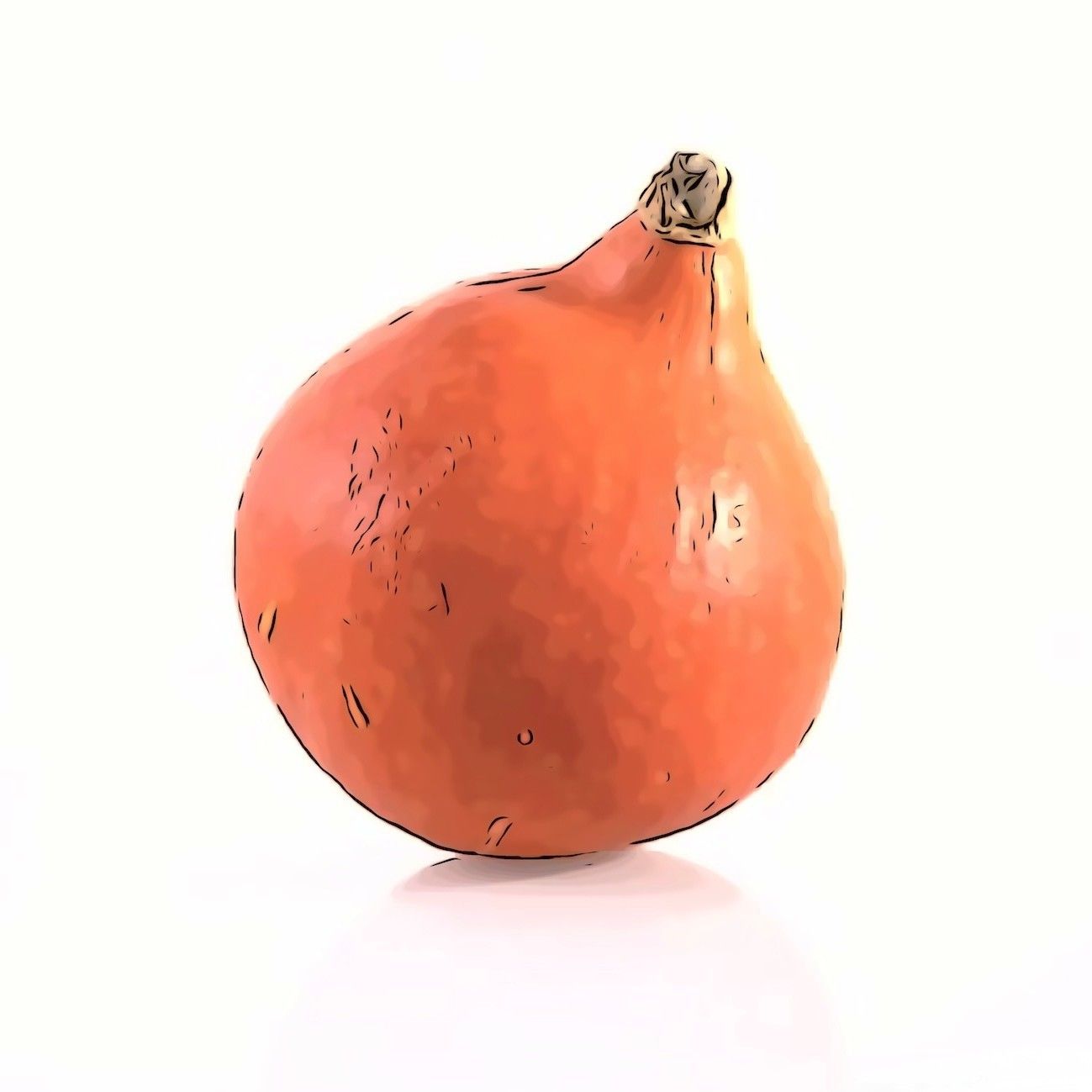 Kürbis Potimarron/Roter Knirps  CH KNO