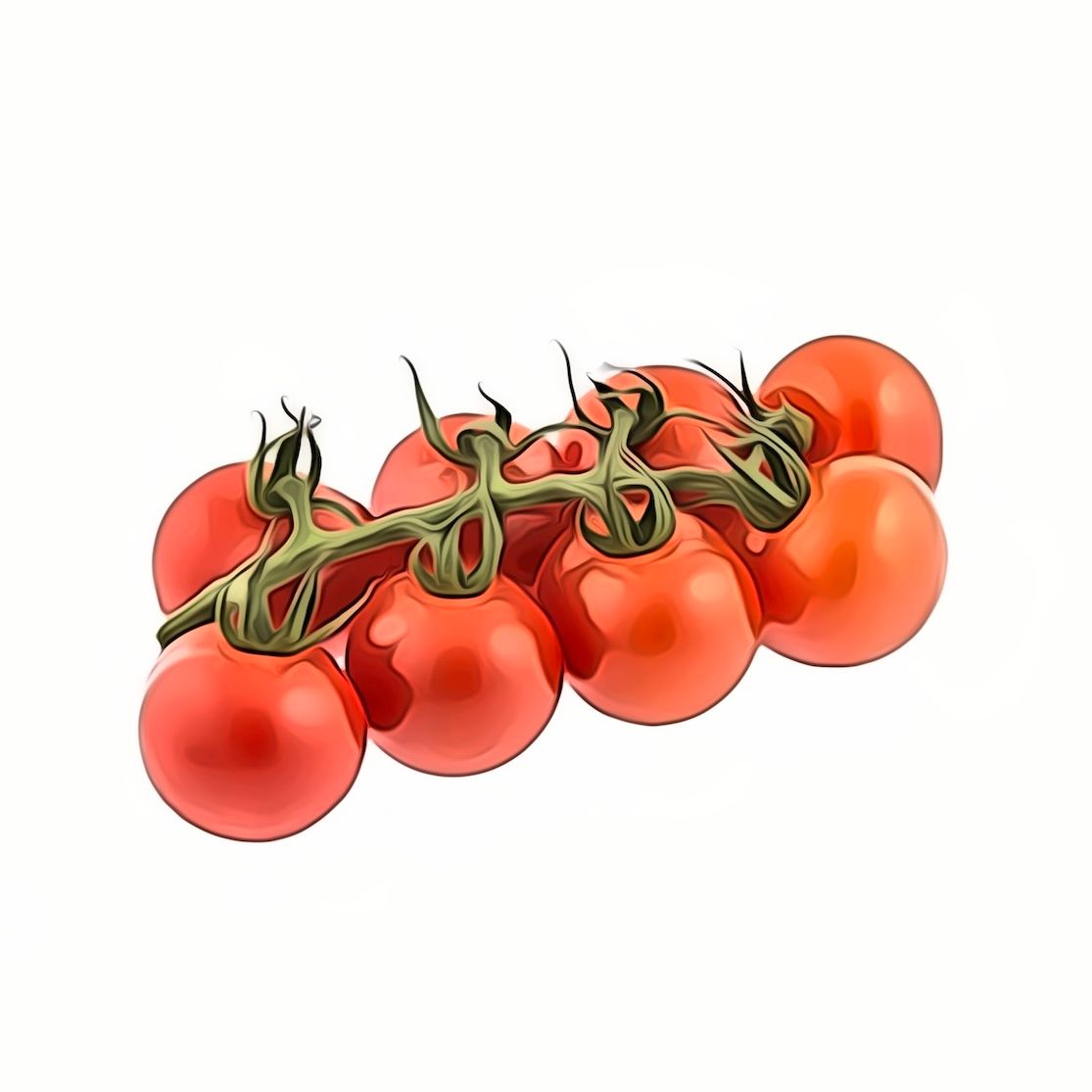 Tomaten Strauch  ES Bio