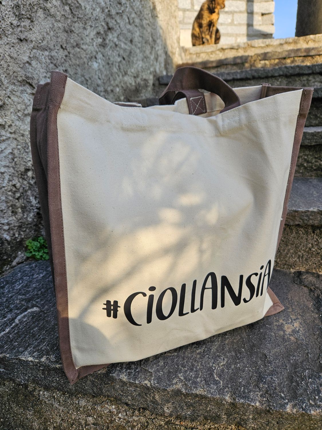 #Ciollansia