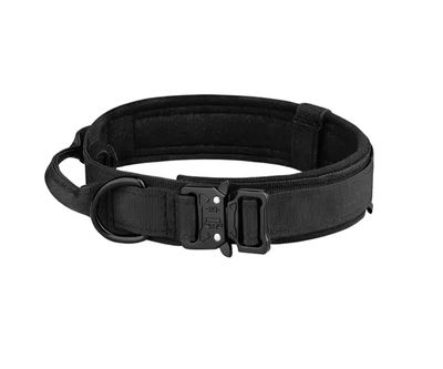 Collares, correas y adiestramiento