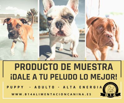 Alimentación de Regalo / Muestra