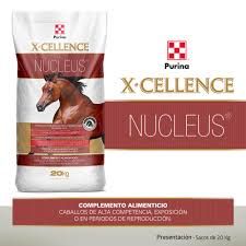 X-CELLENCE NUCLEUS