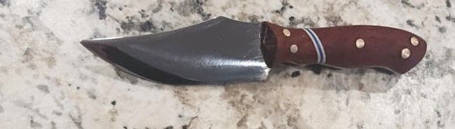 The Patriot Junior The Patriot Junior