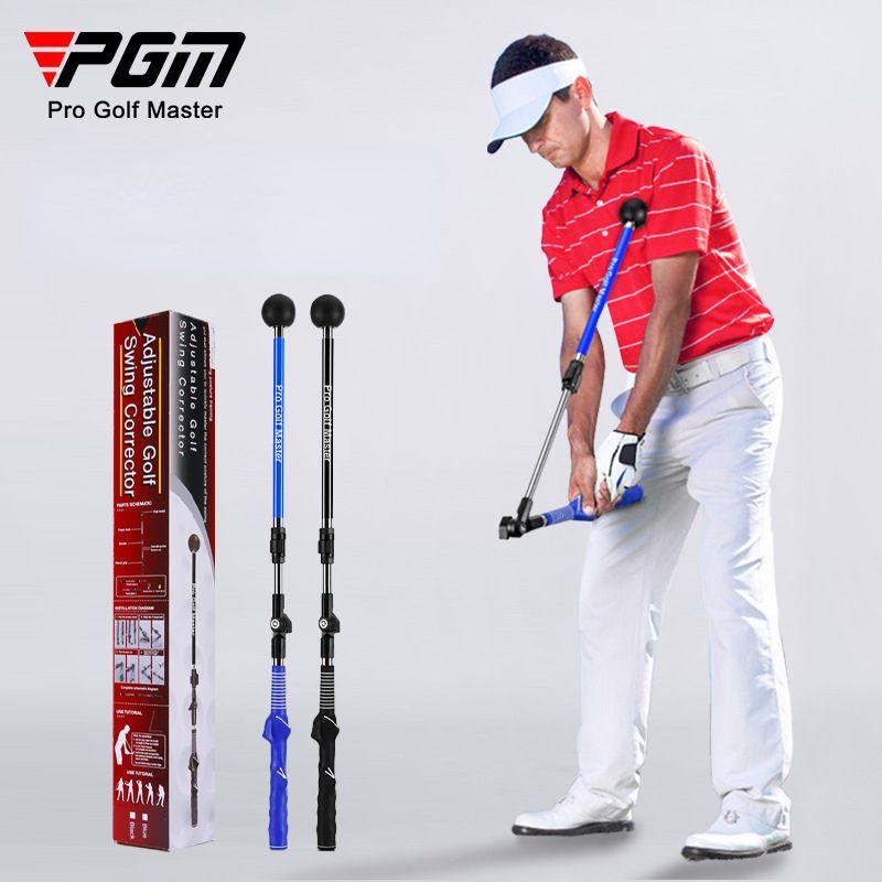 Golf swing trainer