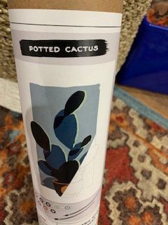 Potted Cactus Paint By Number