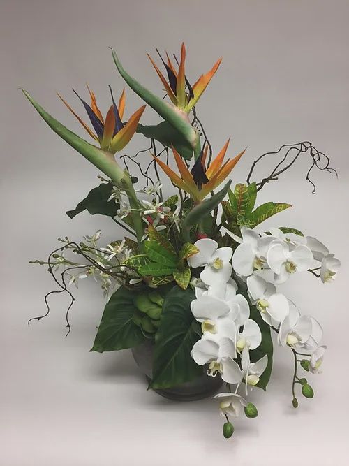 Ivy Guild BRD Croton in Orchid Bowl