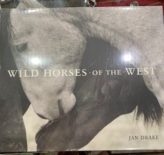 GS Wild Horses of the West