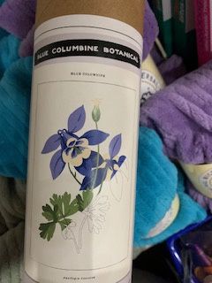 Coloready Blue Columbine Botancal