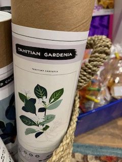 Tahitian Botanical Paint By Number