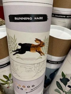 Running Hare Paint By Number