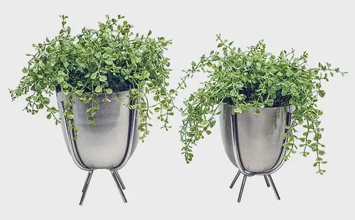 Ivy Guild Set Silver Plant Stands Button Fern