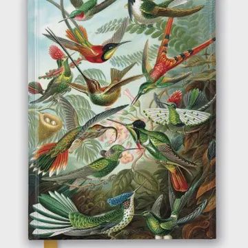 Ernst Haeckel: Hummingbirds Journal