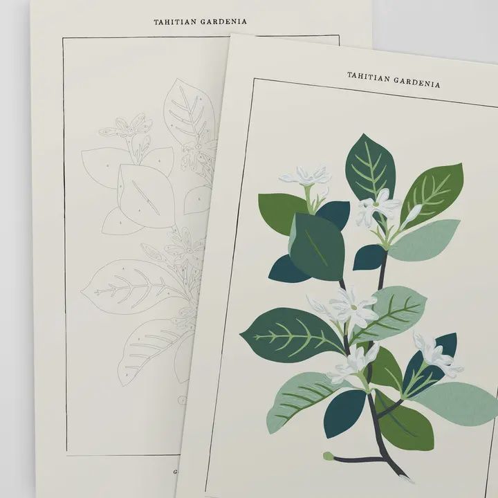 Tahitian Botanical Paint By Number