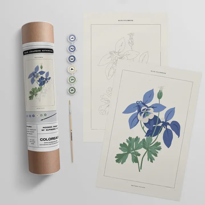Coloready Blue Columbine Botancal