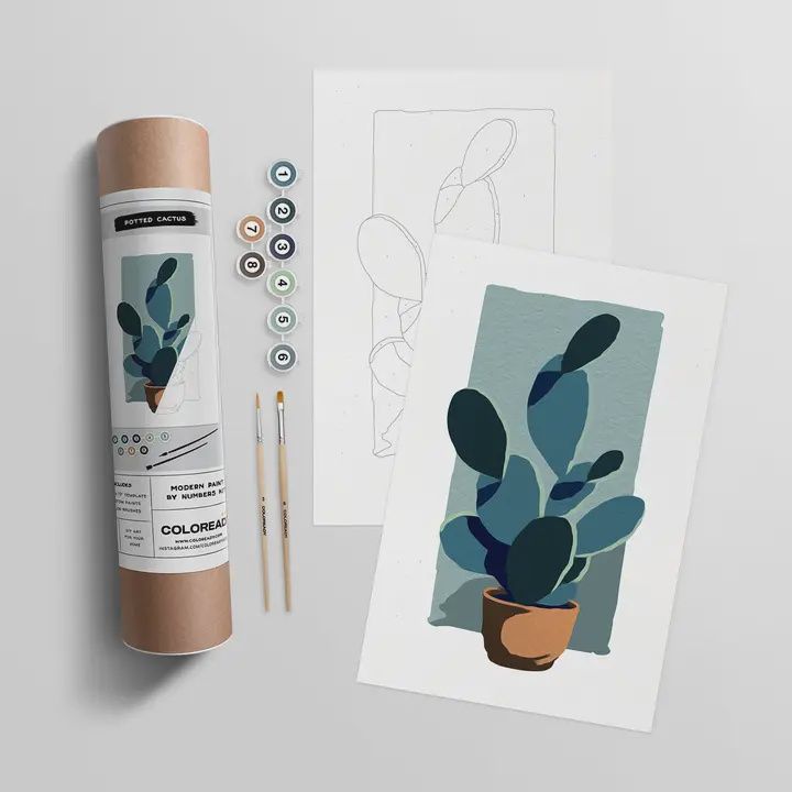 Potted Cactus Paint By Number