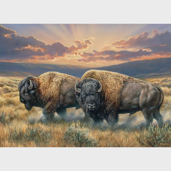 Dusty Plains 1000pc Puzzle