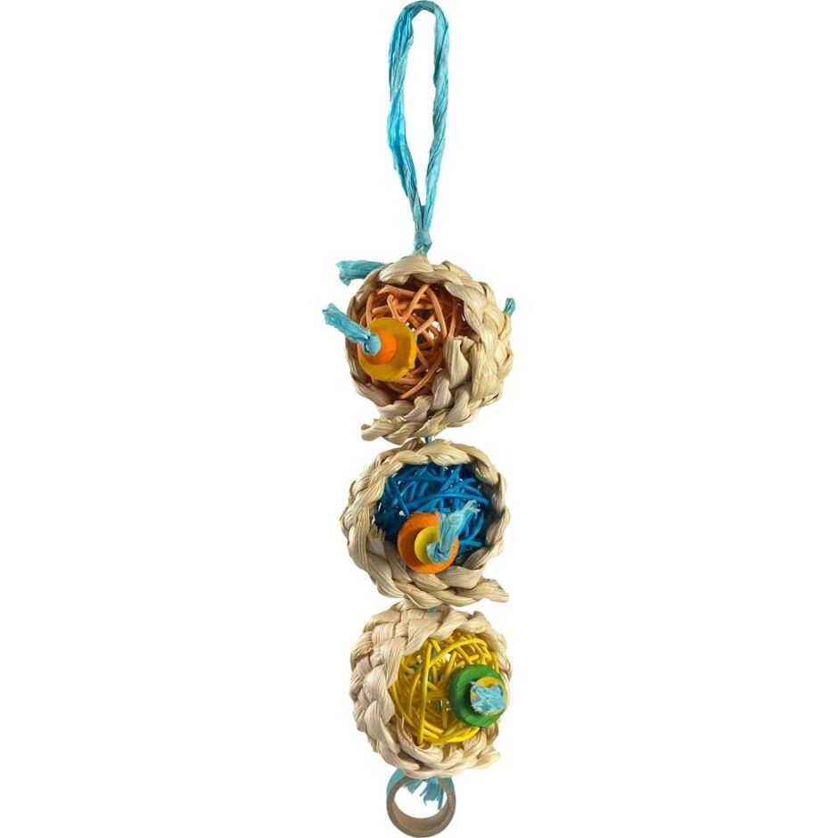 A&amp;E Sushi Shredder Bird Toy