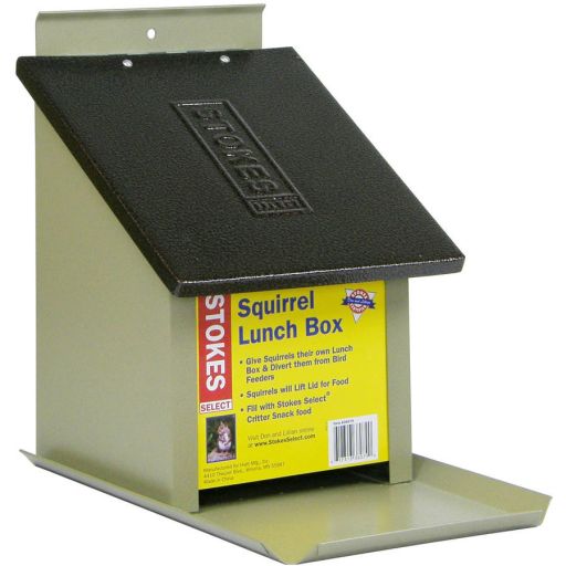 More Birds Squirrel Lunch Box