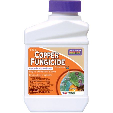 Bonide Captain Jack s Organic Liquid Copper Fungicide Concentrate  16 oz