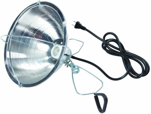LITTLE GIANT BROODER REFLECTOR LAMP W/CLAMP