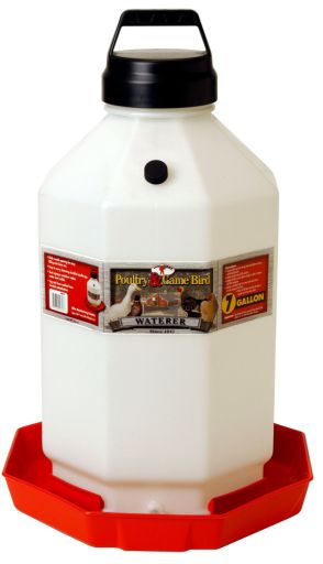 Little Giant Plastic Poultry Waterer