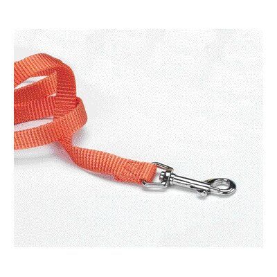 Hamilton Single Thick Mango Nylon Lead 5/8 Inch x 4 Feet