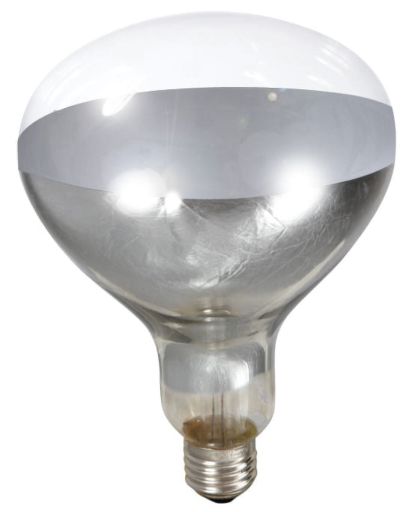 LITTLE GIANT HEAT LAMP BULB CLEAR 250 WATT