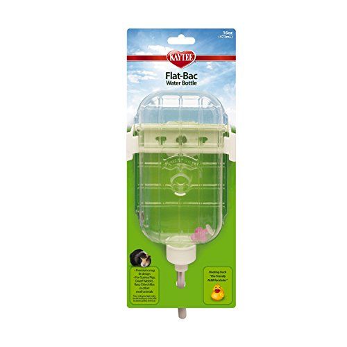 FLAT-BAC WATER BOTTLE 16OZ 36