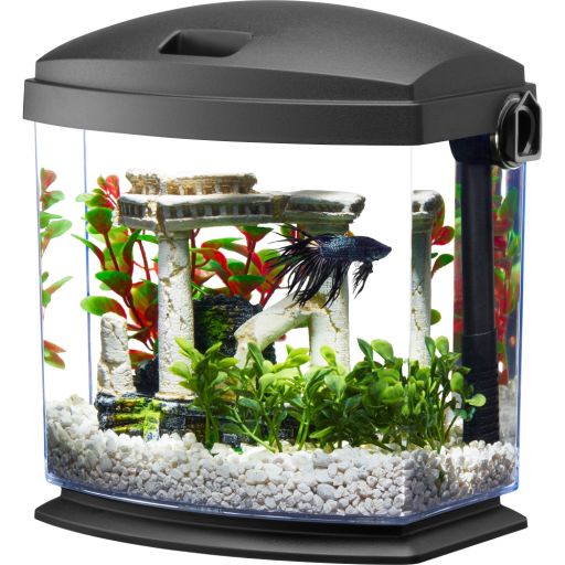 Aqueon Betta Bow Quickclean 1 Gallon