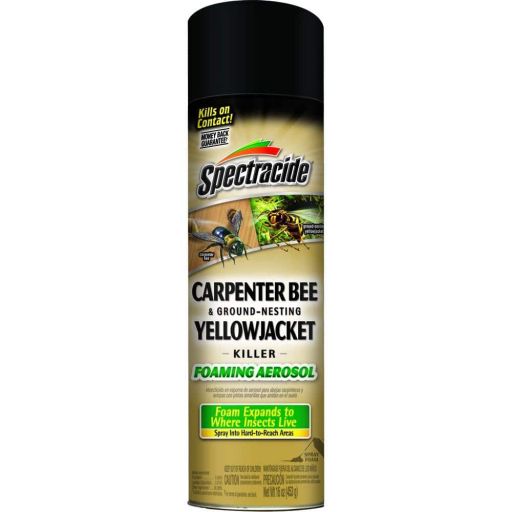 Spectracide Carpenter Bee &amp; Ground-Nesting Yellowjacket Killer Foaming Aerosol  16-oz