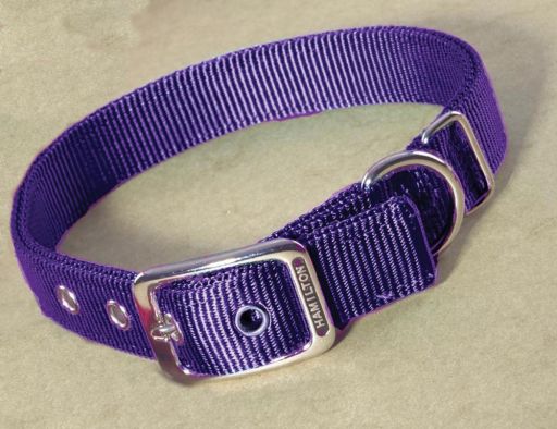 Double Nylon Dog Collar Purple 1&quot;x26&quot;