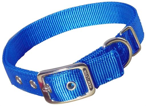 Hamilton 1  Double Thick Nylon Deluxe Dog Collar  20  long  Blue