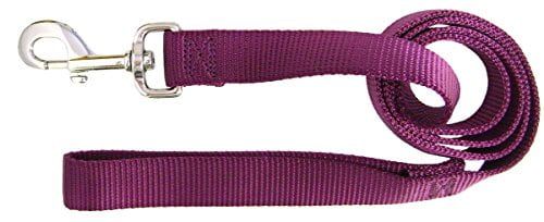 Hamilton Single Thick Nylon Dog Lead  1-Inch by 6-Feet  Wine