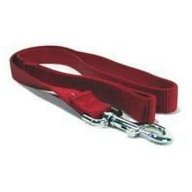 Hamilton 1-Inch Single Thick Nylon Lead with Swivel Snap   4 feet  Red